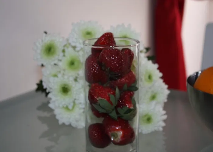 Live Alfama Apartmán *