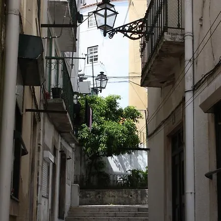 Live Alfama *
